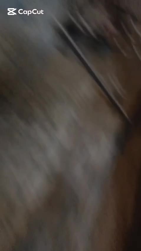 বাংলা_গুদ_2026-09-01_2027_150