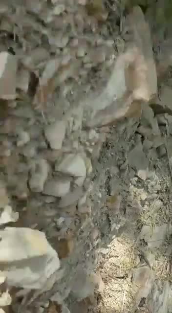 5_6291685342663676005.mp4