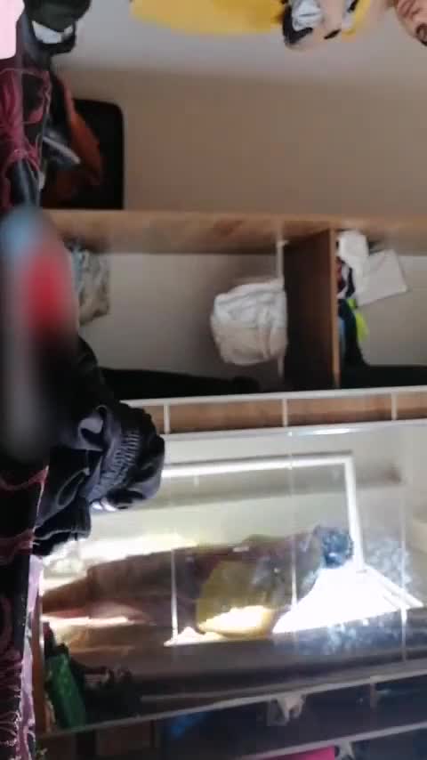 8.mp4.mp4 at Streamtape.com