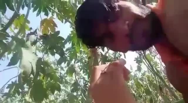 deshi_link_de 2024-01-12-11-53-47.mp4