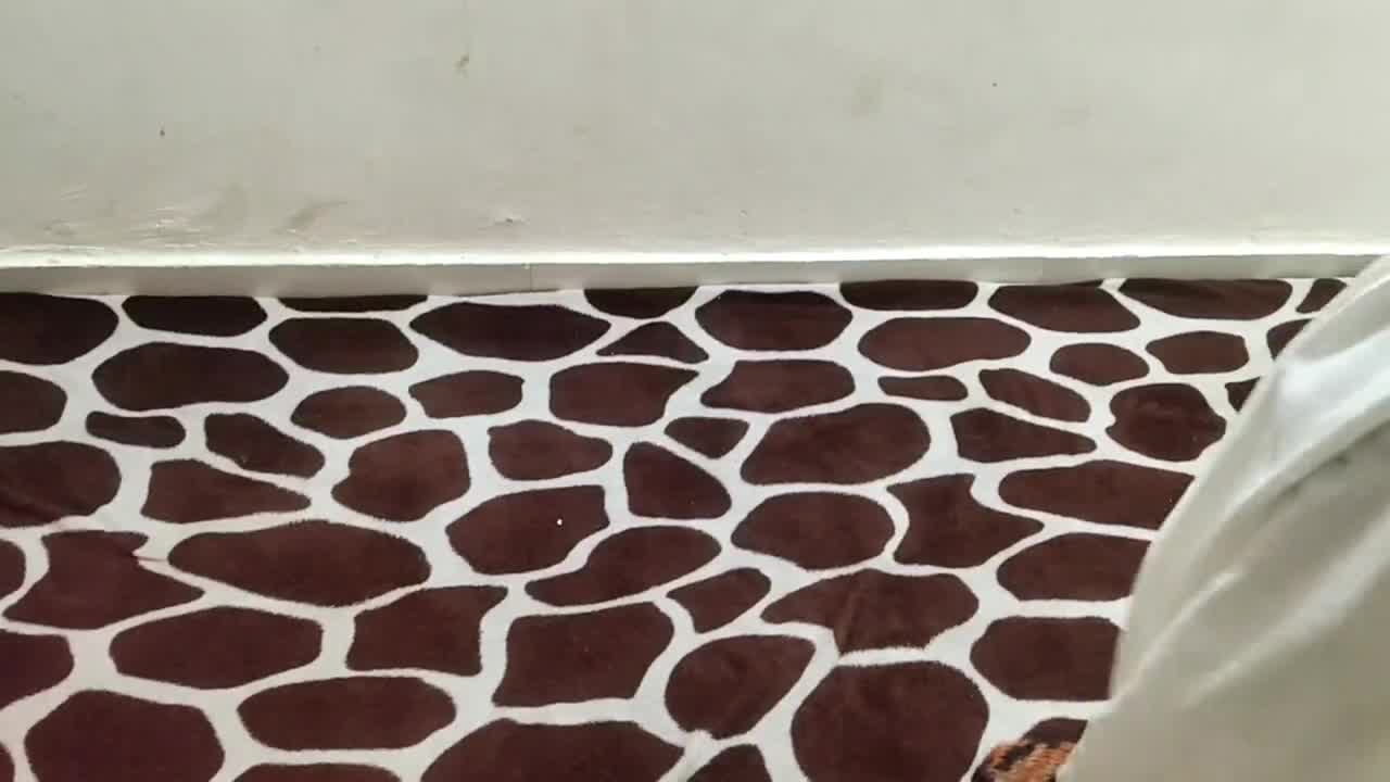 desi bhooli bhali school damsel ko jamke choda - indian bengali - hindi hump clear audio roleplay saarabhabhi6 hot and youthful