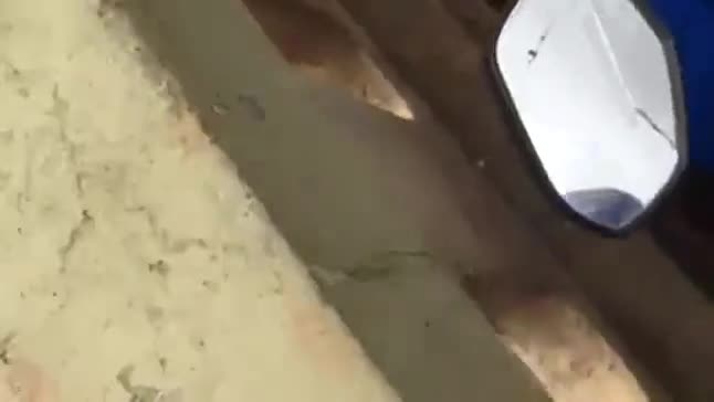 Desi_couple_caught_fucking_outdoor(1)(1)(1)(1)(1)(1)(1)(1)(1)(1)(1)(1)(1)(1).mp4