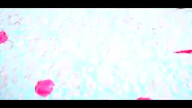 Desi_Indian_Bengali_Girl_Sudipa_Sex_with_Her_Husband_and_Creampie_-_Full_Hindi_Movie