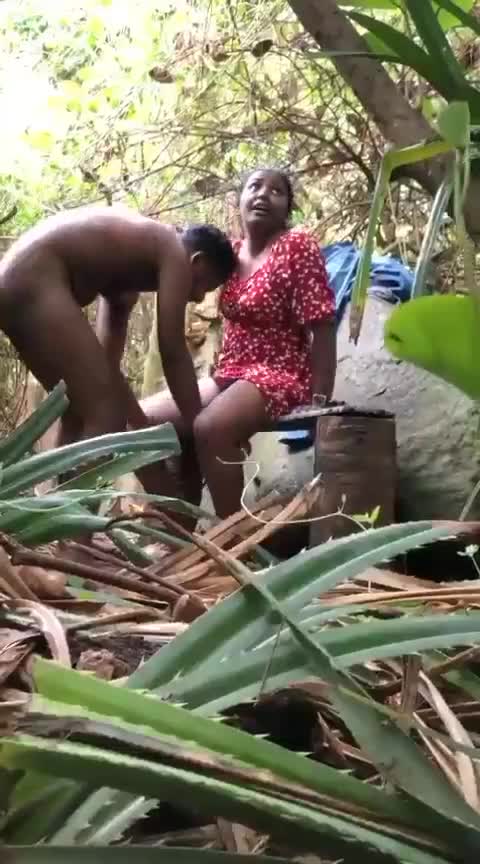 fblite_video-6_20240319_180002.mp4
