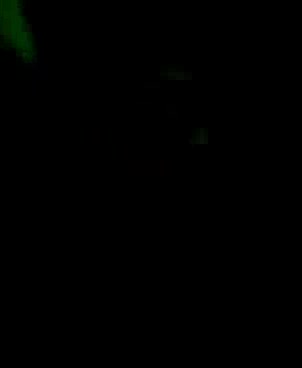 Maal_ka_kamal_2022-12-09_0449_169