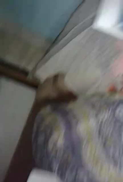 VID-20221013-WA0039(4)