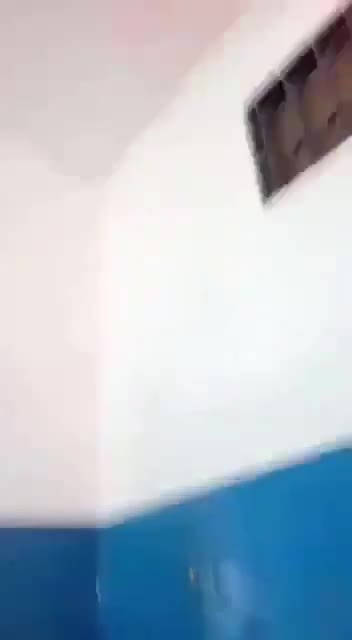 VID-20221217-WA0023.mp4