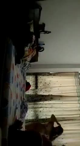 video_2022-08-22_12-28-16.mp4